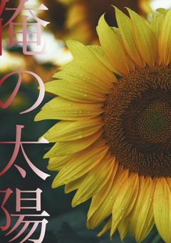 俺の太陽 𝟮𝗻𝗱