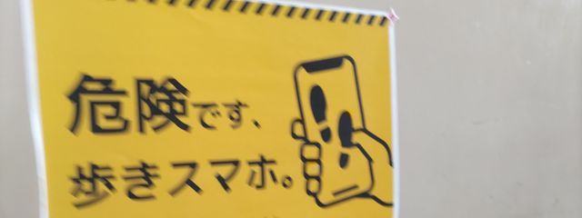 トリ頭🐓さんの壁紙画像