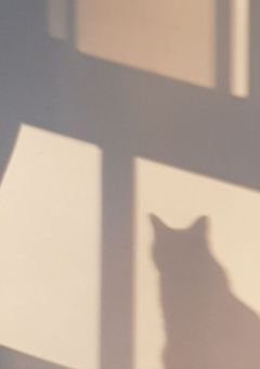 つ ん つ ん 1 5 号 車 ?