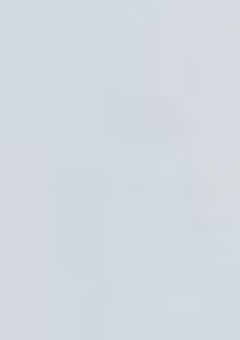 ✦꒷꒦ 𝐭𝐚𝐠 ⟡.·