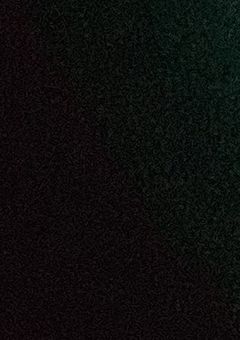 生存確認