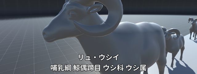 タコ・アルフレッドさんの壁紙画像