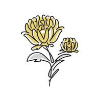 花野 来羅☆低浮上気味さんのアイコン画像