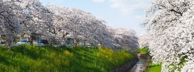 紅月@投稿速度が遅ぇクソ野郎 ｯｯｯさんの壁紙画像