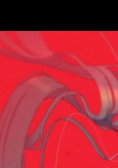 # 奪い合い “どうして？” の精神解剖. 【参加〆切】