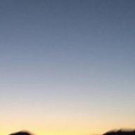 こもれさんのアイコン画像