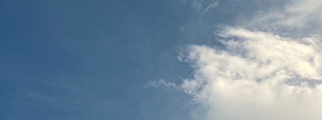 臨海奈々さんの壁紙画像