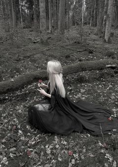 女魔王様と人間くん。