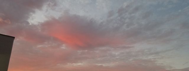 🌸恋雨 さくら🍒🍒🍒 さんの壁紙画像