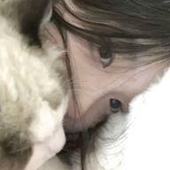 まいさんのアイコン画像