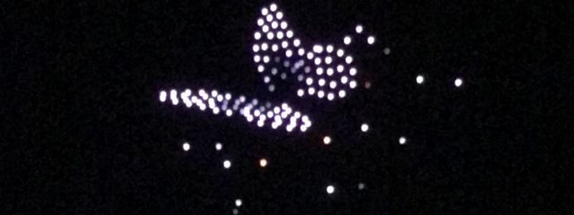 いるかさんの壁紙画像