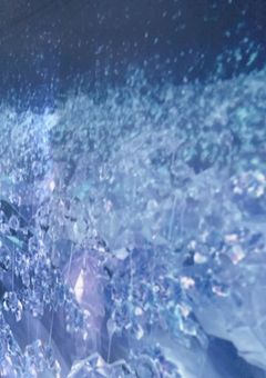 弱っている虎達