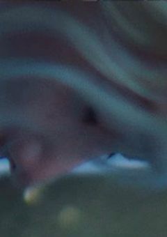 🐥受け！曲パロ短編集！！