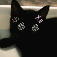 しおりさんのアイコン画像