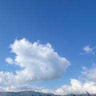 ☆*:.｡. ハル .｡.:*☆さんのアイコン画像