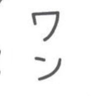 シノさんのアイコン画像