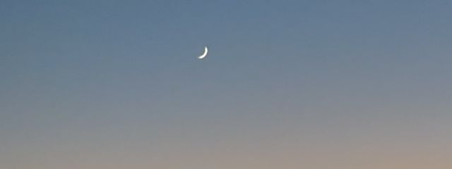 えす.nemさんの壁紙画像
