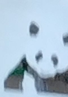 つ🅰️とvlt多め短編集