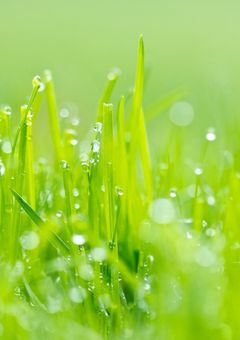 サッカー日本代表の弱点？？