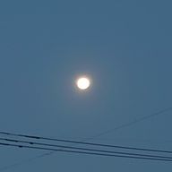 ミャー🌱さんのアイコン画像