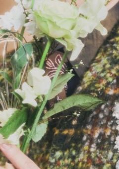 短編 ・ 反応集　￤　M!LK
