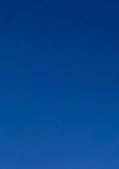 いれいす青担当秘密あり過ぎた件