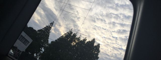 ᐠ( ᐢ ᵕ ᐢ )ᐟさんの壁紙画像