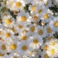 Mtkさんのアイコン画像