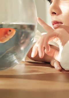 This feeling [完結]