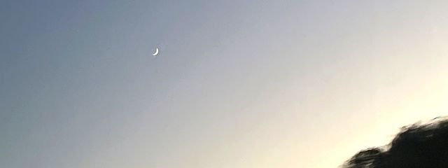 あさんの壁紙画像