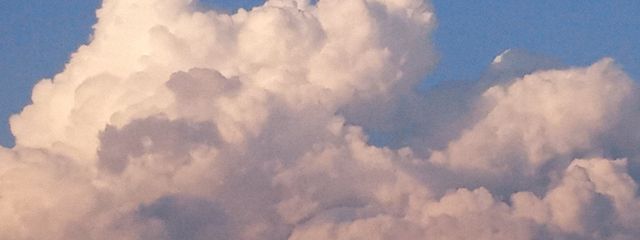 のっち〜さんの壁紙画像