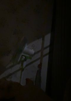 死者より愛を注ぐ