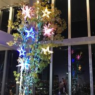 ミルク🍼＠マイペースさんのアイコン画像