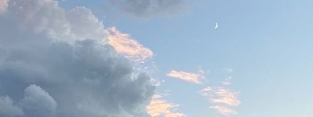 yua .     🪽🖤さんの壁紙画像