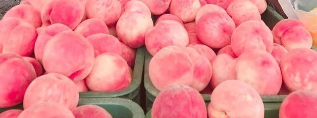 pyrさんの壁紙画像