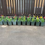 ちゅむママさんのアイコン画像