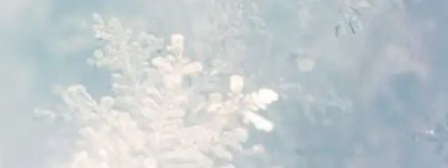 /  綺羅さんの壁紙画像