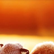 はっさくさんのアイコン画像