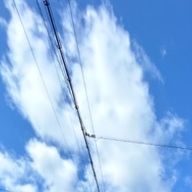 長時間睡眠。🌱‪🎨🐈‍⬛さんのアイコン画像