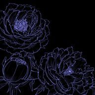 あわさんのアイコン画像