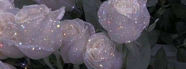 愛 花 ログアウト中さんの壁紙画像