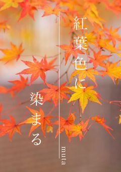 紅葉色に染まる　【kmt】