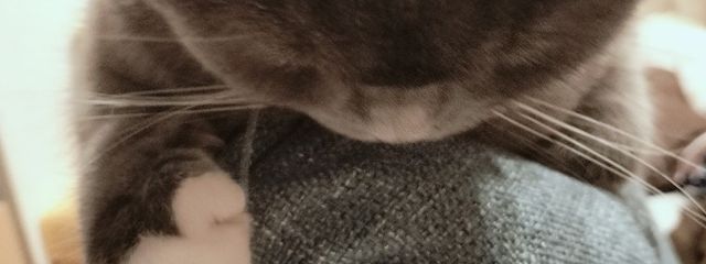 る こ 。さんの壁紙画像