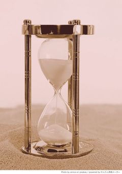 時をかける赤猫