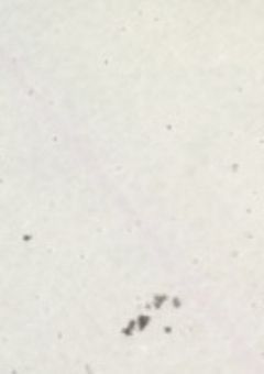 かんけーしゃぼしゅー！