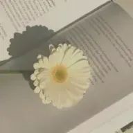 ホモサビエンスさんのアイコン画像