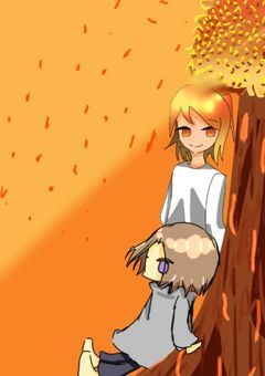 大きな楓の木の下で