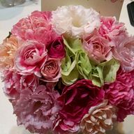 ずんこさんのアイコン画像