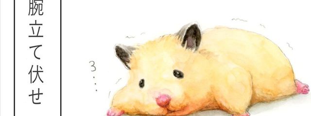 楪さんの壁紙画像