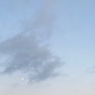 xhz さんのアイコン画像